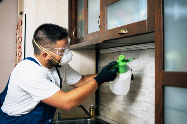 Best Pest Prevention Services  in Warren, IN