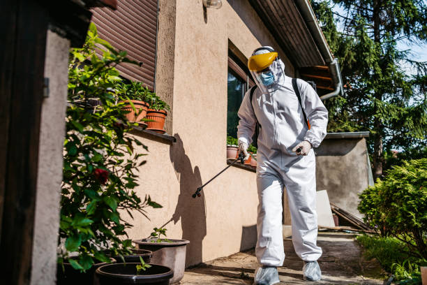 Best Affordable Pest Control Services  in Warren, IN