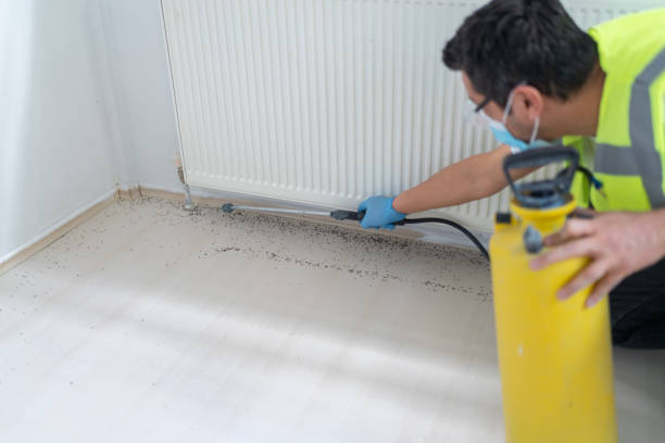 Best Wildlife Control Services  in Warren, IN