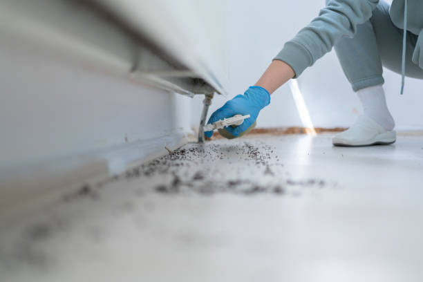 Best Ant Control Services  in Warren, IN
