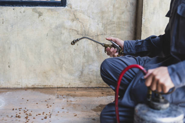 Best Best Pest Control Companies  in Warren, IN