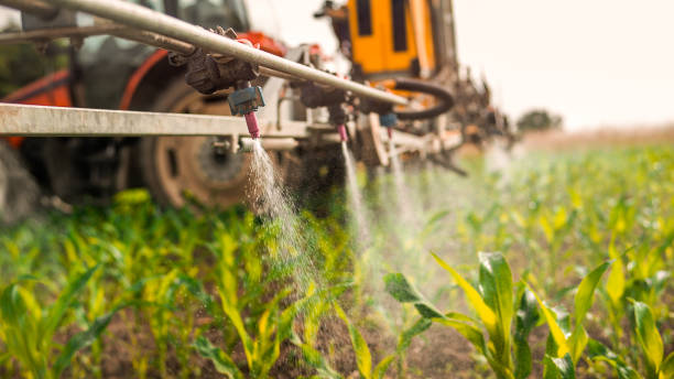 Best Pest Control for Businesses  in Warren, IN
